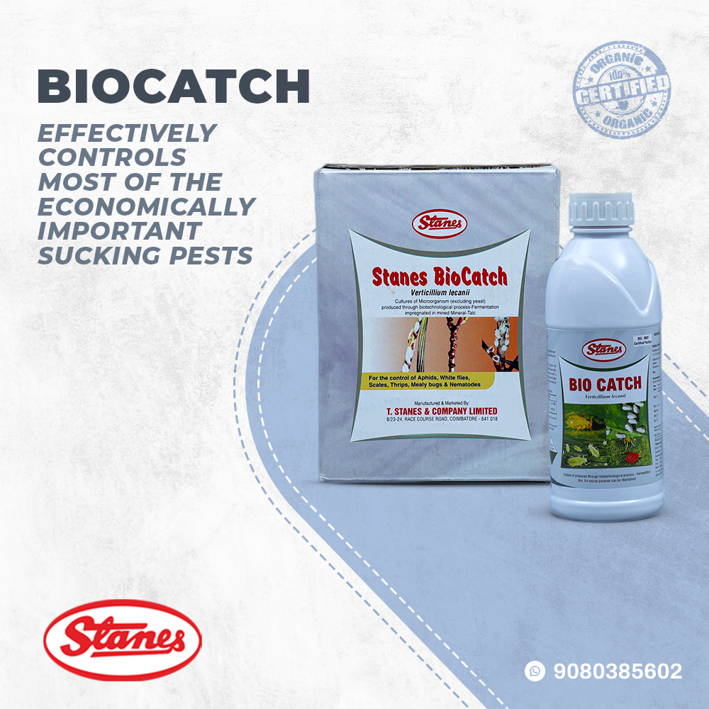 BioCatch Image